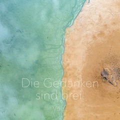 Die Gedanken sind Brei. Vol.2