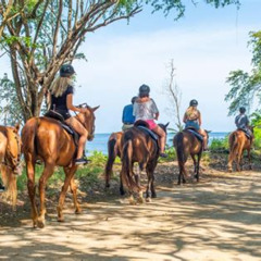 Review Special Price Zipline Horse Ride Swim Tubing And Ocean Outpost Park