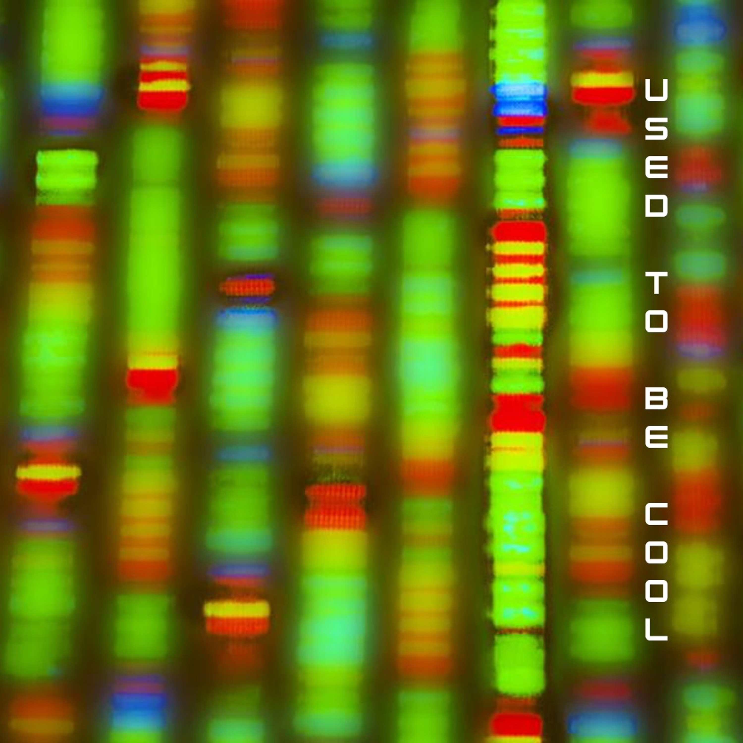Ep69 - Brothers and Sisters