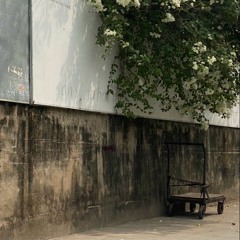 Nhac Tay vai nho 🫡