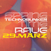Hans Bunte Areal - BSMNT Spring Time Rave w/Wilderich Zwilling DJ mix artwork - Electronic music tracklist cover image