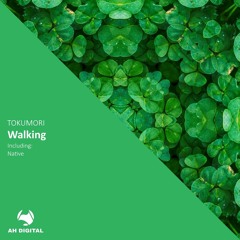 TOKUMORI - Walking (Original Mix)
