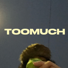 TOOMUCH (prod. jentl)