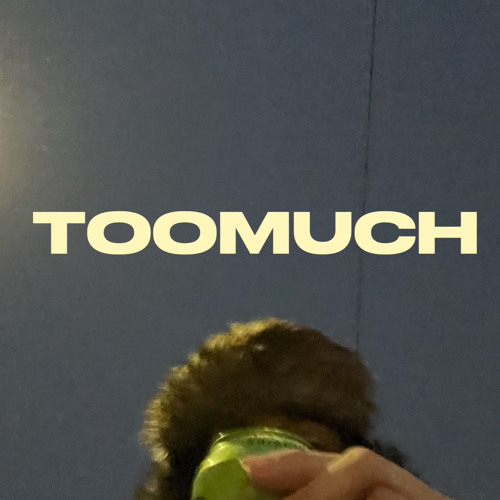 TOOMUCH (prod. jentl)