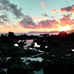 PROVENZA [ ZKZZ Exht RMX ]