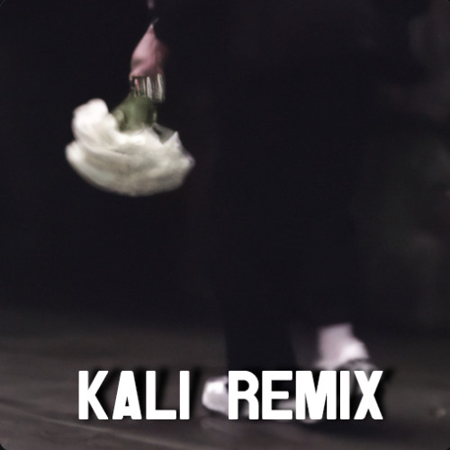 MilleniumKid x JBS – Vielleicht Vielleicht (Kali Remix Bootleg)