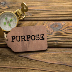 Our Purpose Clear
