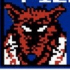 SCENES FROM THE WABASHA BOOKSTORE