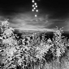 LoVEGVWD (130bpm)DJWaveGVWD