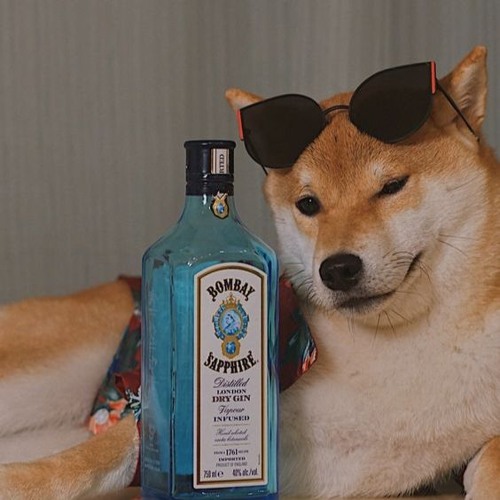 FATCAT REMIX - 若月亮没来 - 王宇宙 SPECIAL REQUEST BY ANAK AAN