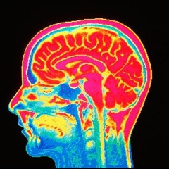 NAH • NEVER ANY HEADSHOTS