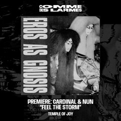 PREMIERE CDL || Cardinal & Nun - Feel The Storm [Temple Of Joy] (2024)