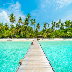 Fucked Beach