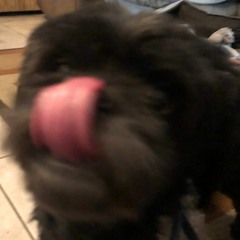 anti-sighcotic (feat. Si6h) (prod. Epikali)