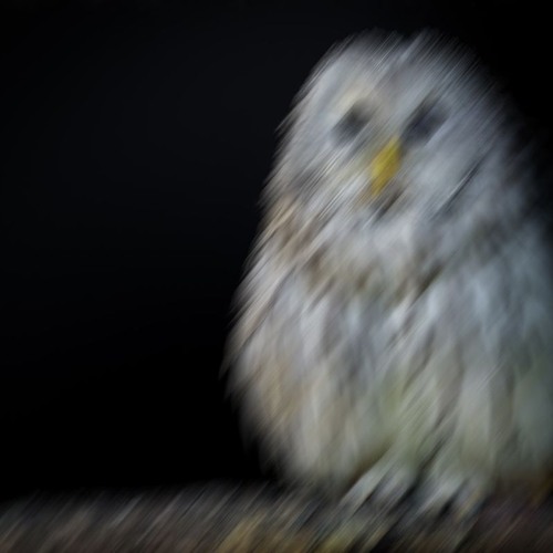 The Blurred Crusade 11: Matt B.