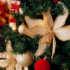 La Lande Christmas Intro