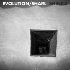 Shinka (Instrumental)