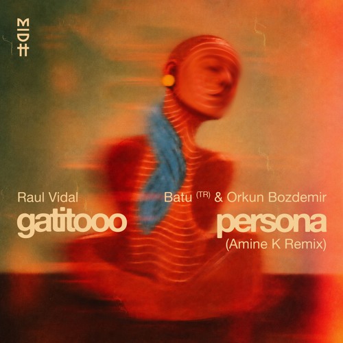Gatitooo / Persona (Amine K Remix)