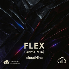 Flex (Onyx Mix)