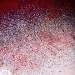 FRONT SEAT FREESTYLE.