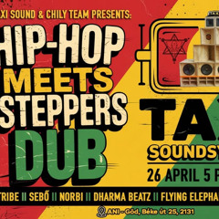 Tribe @ Chily Team & Taxi Sound pres - Hiphop meets Steppers Dub 2025.04.26.
