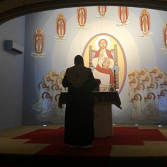 Overcoming Spiritual Apathy - Fr Anastasi