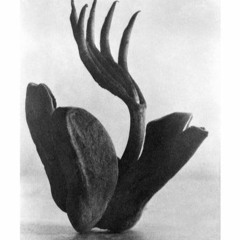 Clamor - for cello
