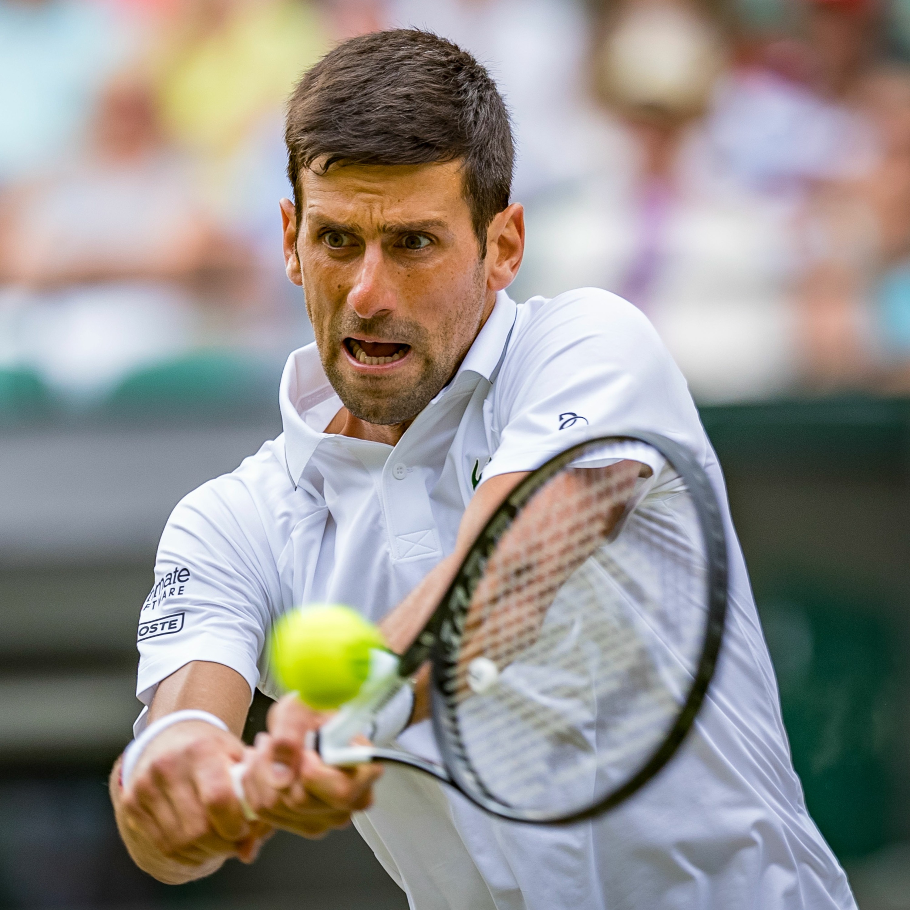 NL Tennis Podcast