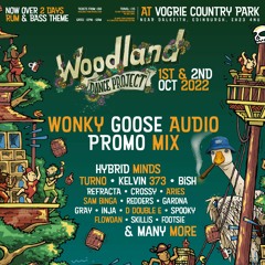 WOODLAND DANCE PROJECT - PROMO MIX