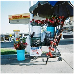 My Cherie Amour (STEVIE WONDER)