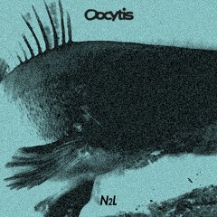 Ni Liege | Oocytis 24.01 | Ep. 1