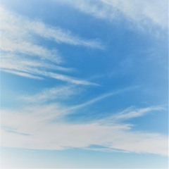 飛燕(2020）