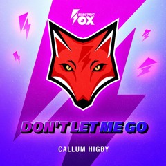 Callum Higby - Don't Let Me Go (Electric Fox)