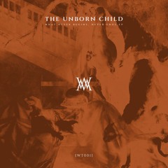 *PREMIERE* THE UNBORN CHILD - And We Won't Stop (Original Mix) [Wrong Theory]