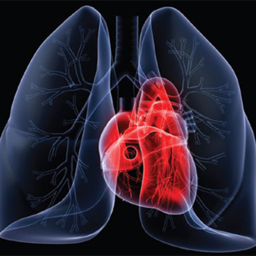 Resume its normal beat