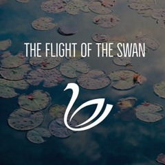 The flight of the swan
