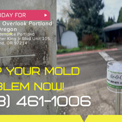 Mold Removal Overlook Portland Oregon - Pure Maintenance Portland - 503-461-1006