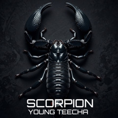 SCORPION - EXPERIMENTAL TECH - 108 bpm