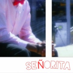 Señorita (feat. Tyler Kwak)
