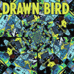 Drawn Bird