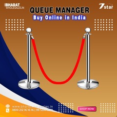 Stainless Steel Queue Manager Buy Online in India, Best Price,