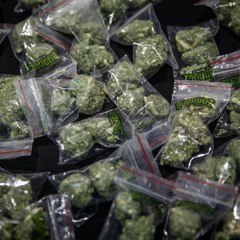 Blazer Boccle WOTSAPNIN