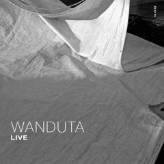 [002] Wanduta *Live