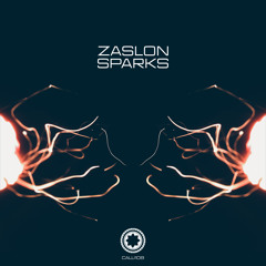 Zaslon - Take Care