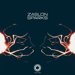 Zaslon - Endless Field