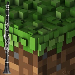 Wet Hands | Minecraft | Clarinet Arrangement