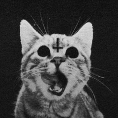 in this bitch *DieWolf