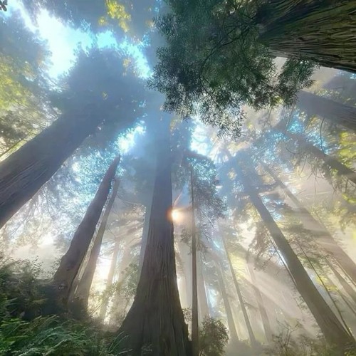 ivvys x ethereal x jmxri beat