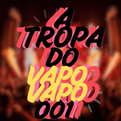 A TROPA DO VAPO VAPO 001 (feat. MC 7 DELAS)