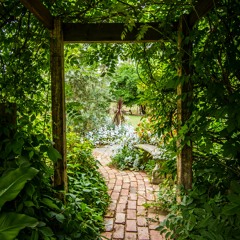 Song from a Secret Garden